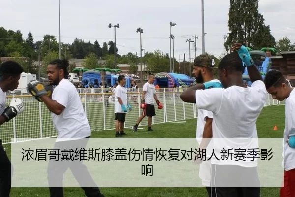 浓眉哥戴维斯膝盖伤情恢复对湖人新赛季影响