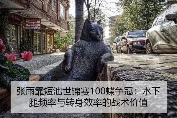 张雨霏短池世锦赛100蝶争冠：水下腿频率与转身效率的战术价值